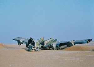 Werner Herzog